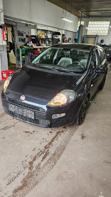 Gebrauchte Fiat Punto