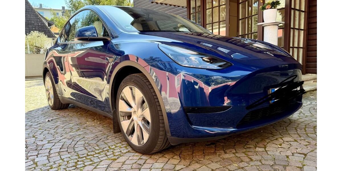 Tesla Model Y 54.000 km 29.000 &euro; Bad Soden 65812
