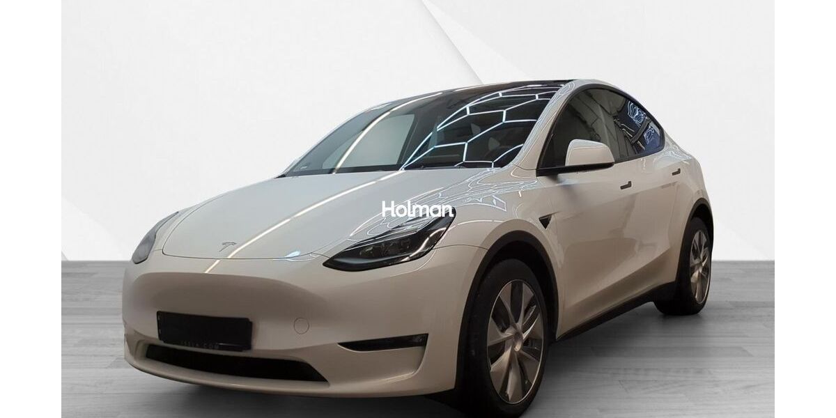 Tesla Model Y 89.866 km 29.934 &euro; Eschborn 65760