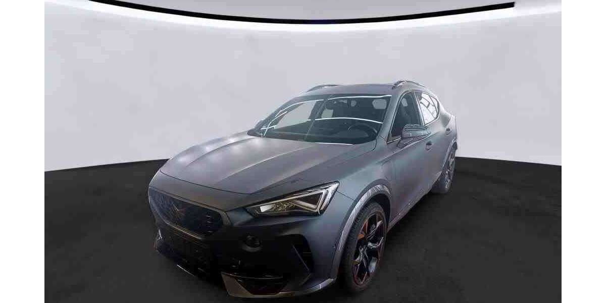 Cupra Formentor 32.100 km 27.249 &euro; Mühlheim a. Main 63165