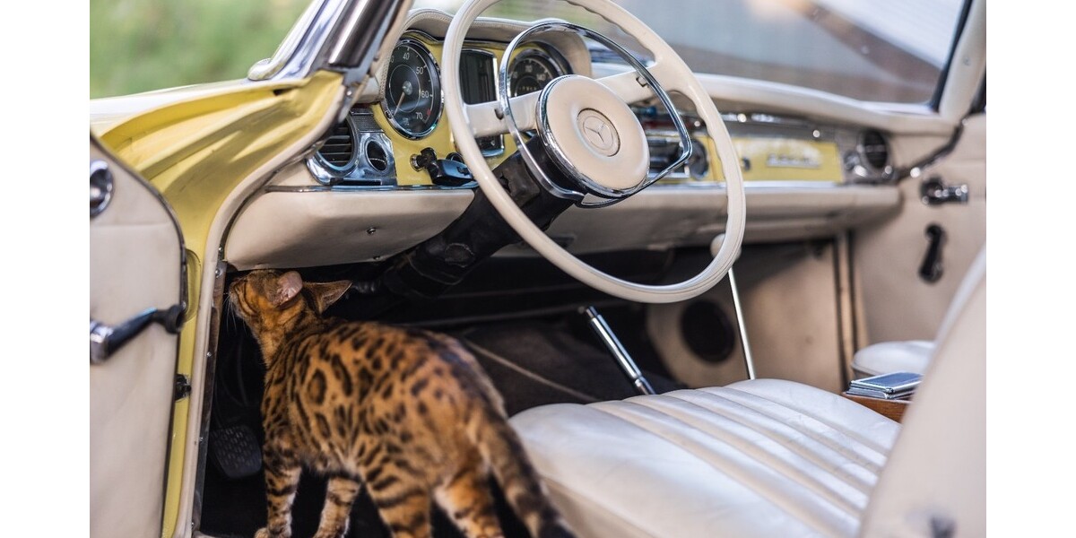 Mercedes-Benz 230SL 17.800 km 108.000 &euro; Oberursel (Taunus) 61440