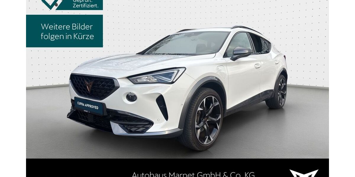 Cupra Formentor 44.304 km 22.990 &euro; Königstein 61462