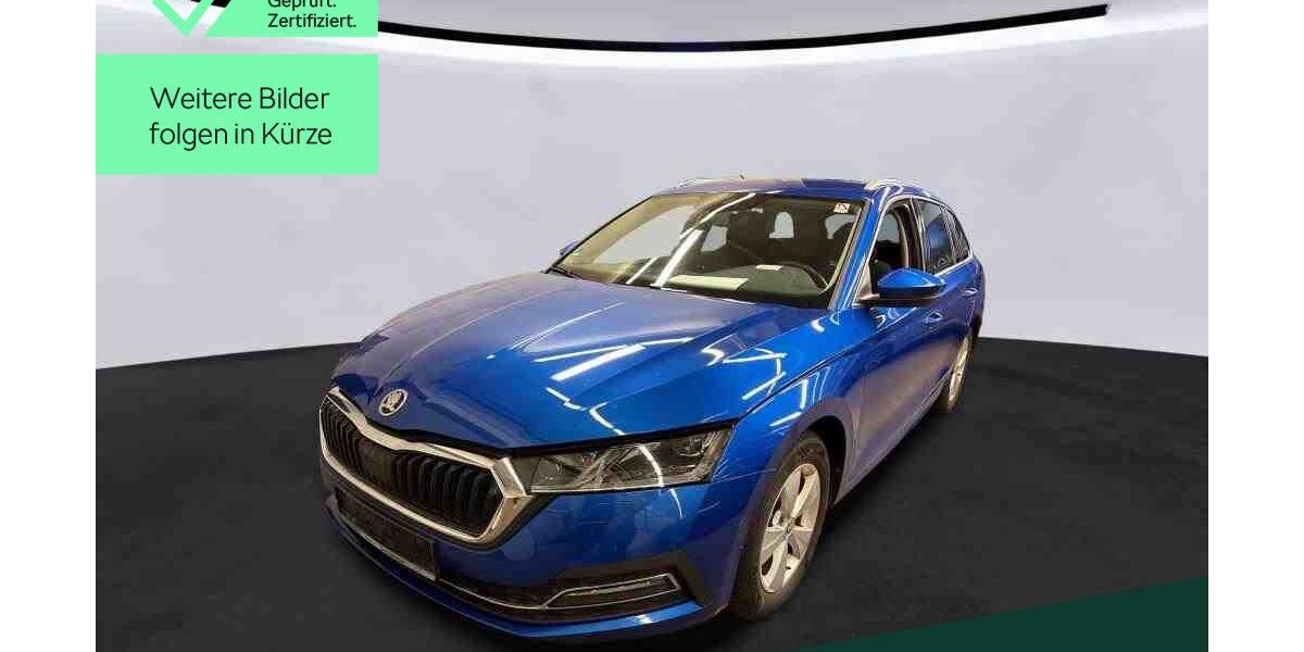 Skoda Octavia 50.900 km 25.899 &euro; Mühlheim 63165