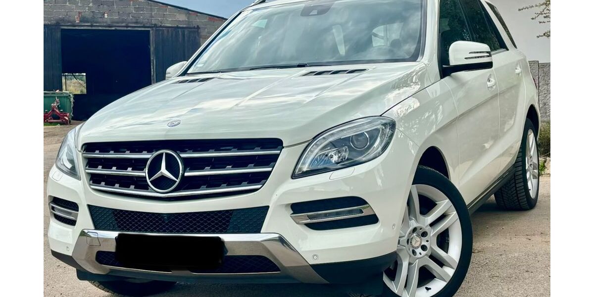 Mercedes-Benz ML 350 298.900 km 15.990 &euro; Rossdorf 64380