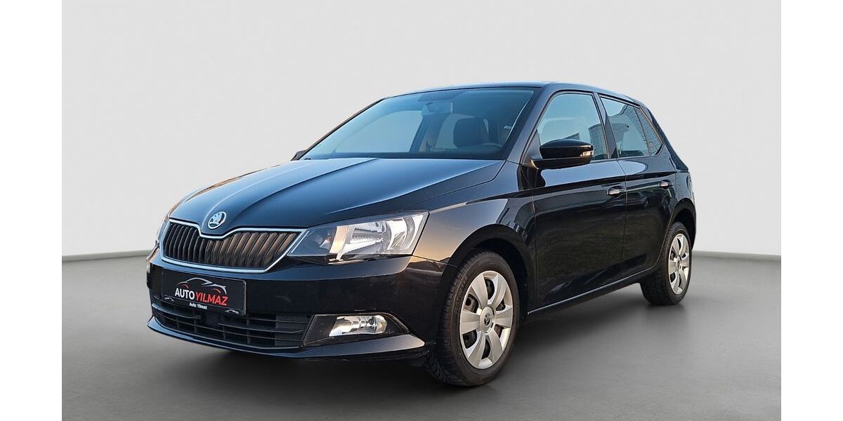 Skoda Fabia 149.990 km 6.590 &euro; Rüsselsheim am Main 65428