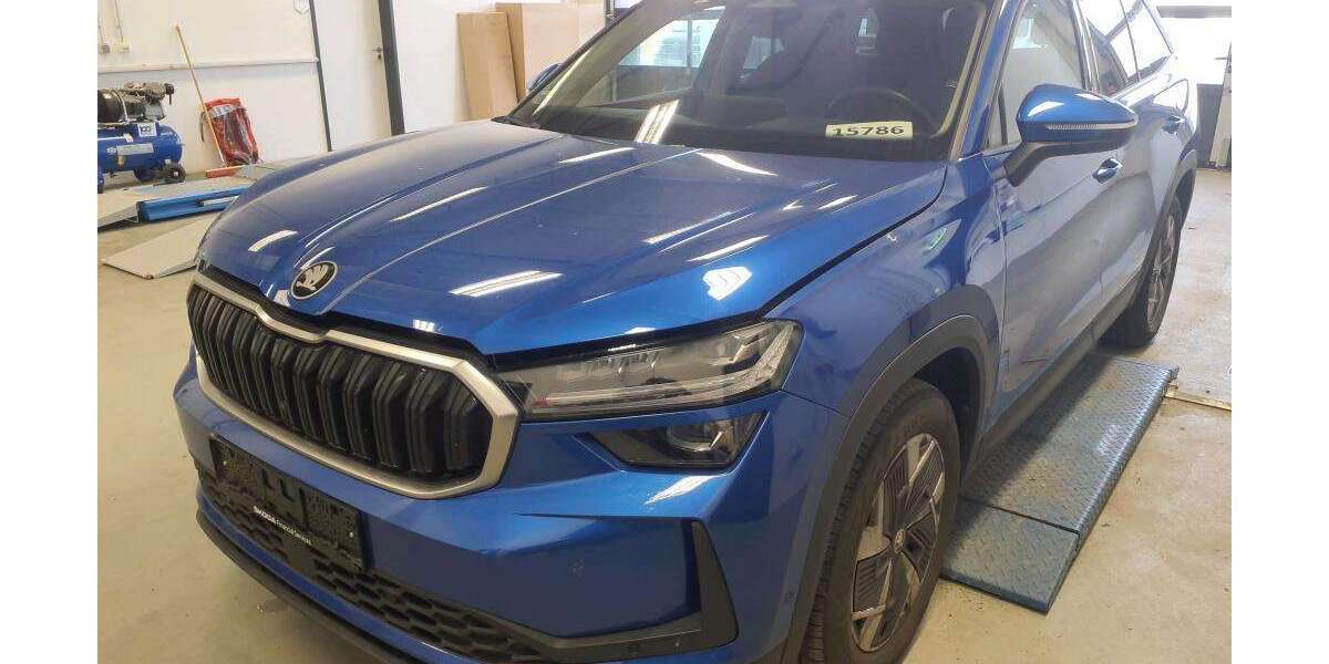 Skoda Kodiaq 45.000 km 44.988 &euro; Darmstadt 64293
