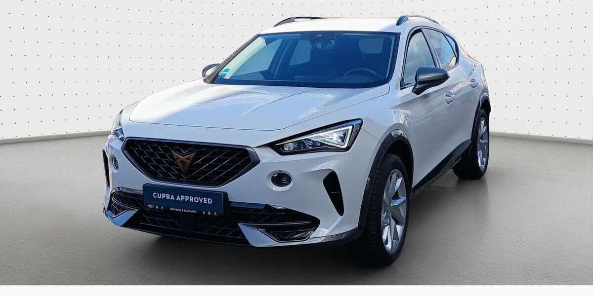 Cupra Formentor 53.597 km 22.940 &euro; Hofheim 65719