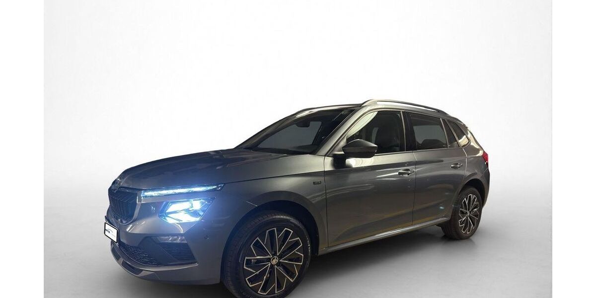 Skoda Kamiq 3.170 km 25.650 &euro; Friedberg 61169