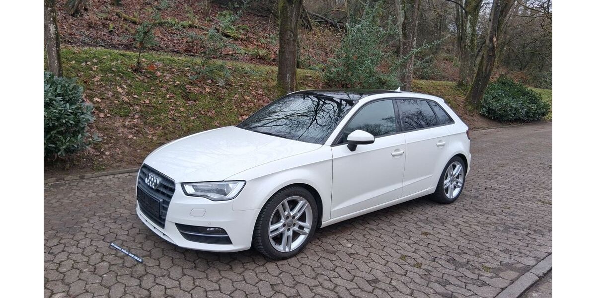 Audi A3 173.000 km 8.500 &euro; Bad Soden 65812