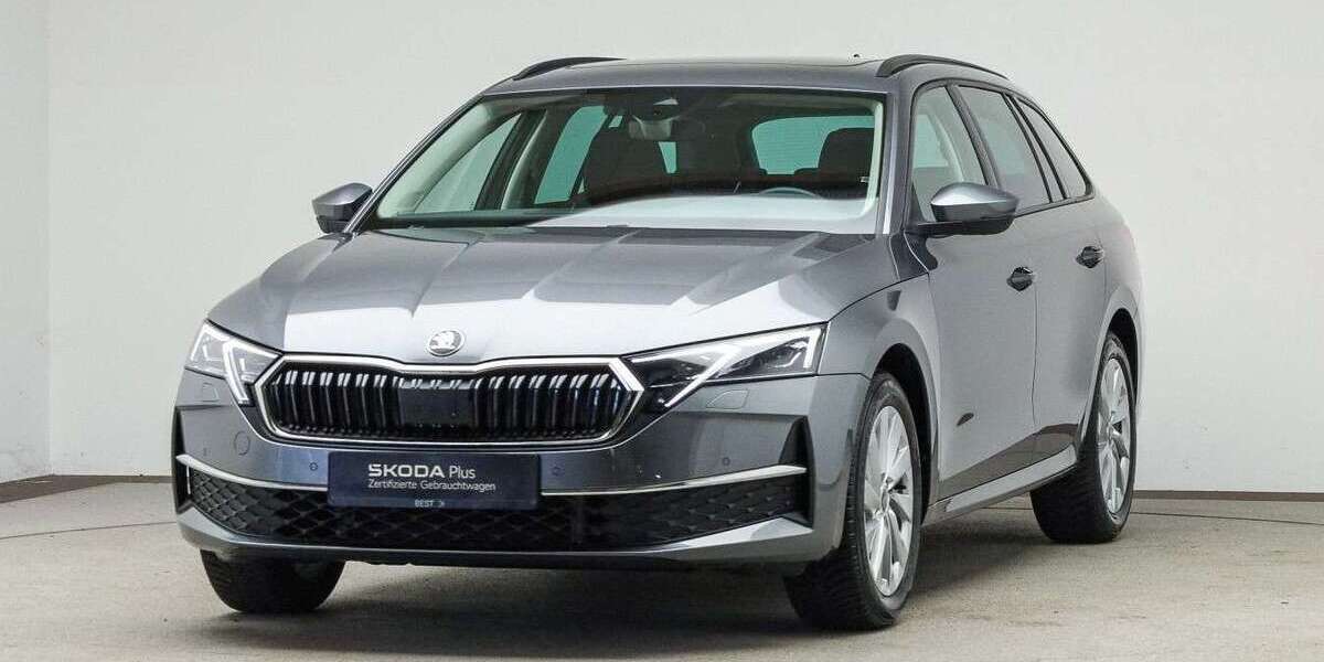 Skoda Octavia 24.100 km 30.000 &euro; Mühlheim am Main 63165