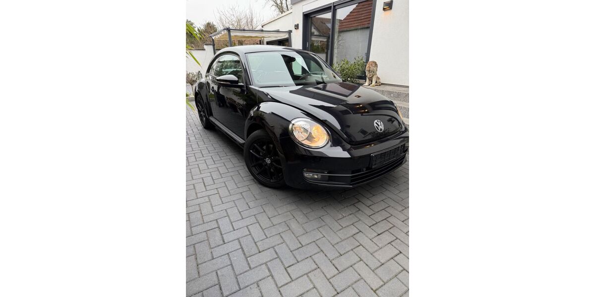 VW Beetle 228.015 km 5.300 &euro; Groß Gerau 64521