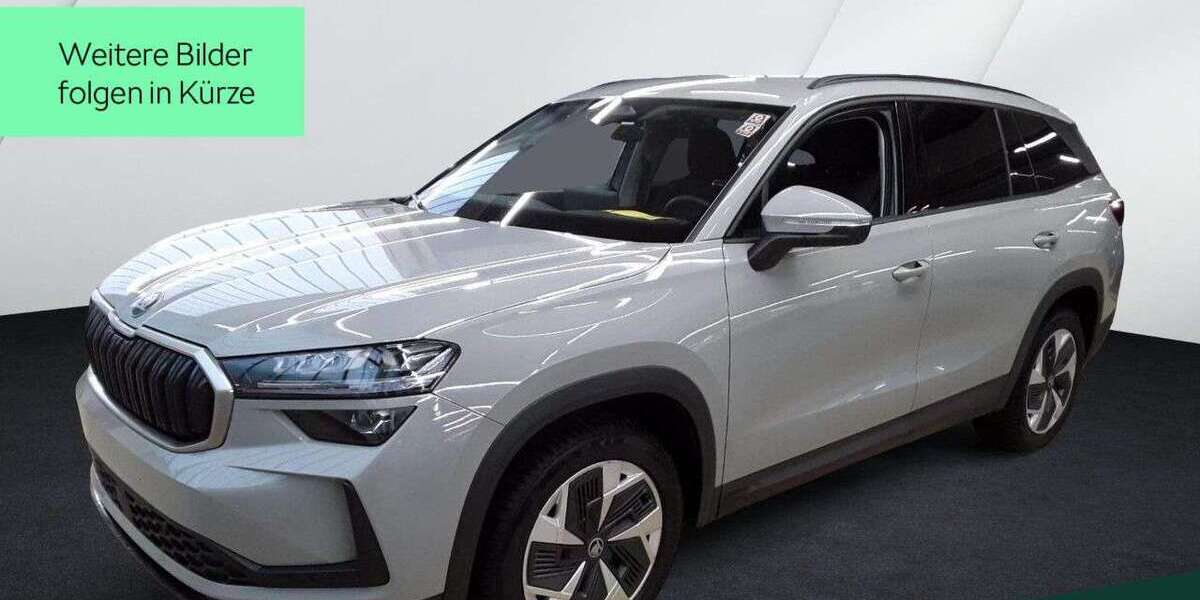 Skoda Kodiaq 29.100 km 43.449 &euro; Mühlheim a. Main 63165