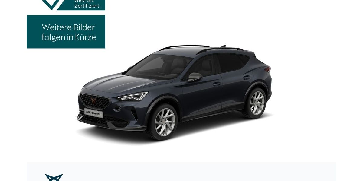 Cupra Formentor 14.080 km 26.490 &euro; Königstein/Ts. 61462