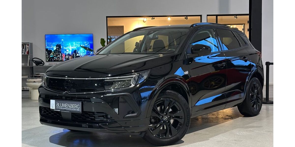 Opel Grandland (X) 73.909 km 17.980 &euro; Rodgau-Weiskirchen/nähe Frankfurt am Main 63110