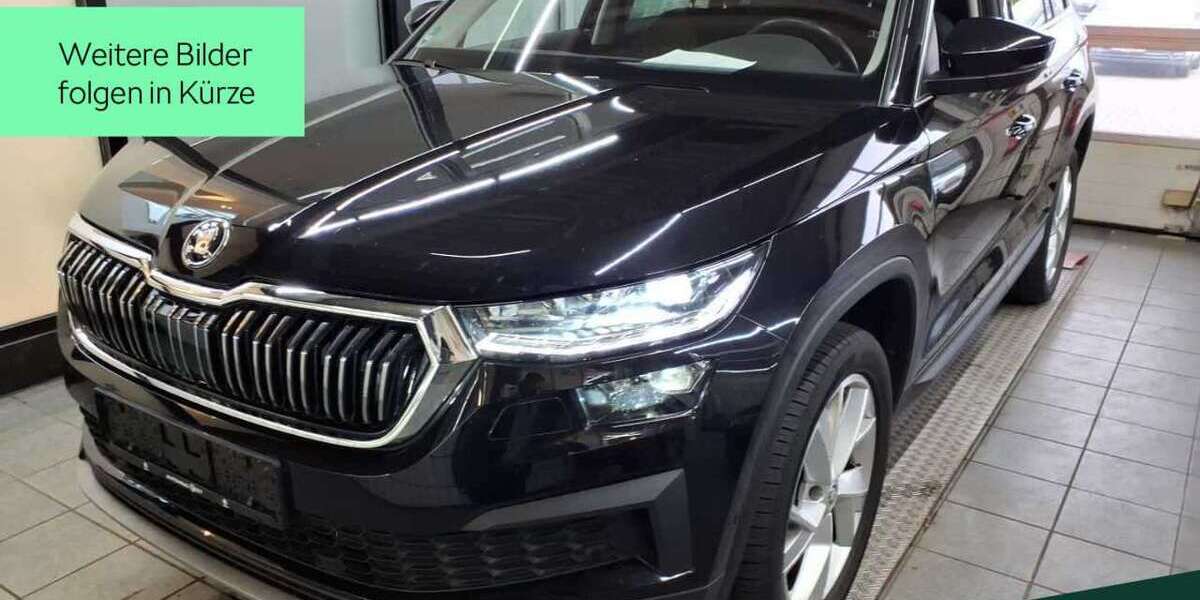 Skoda Kodiaq 44.500 km 35.488 &euro; Mühlheim a. Main 63165