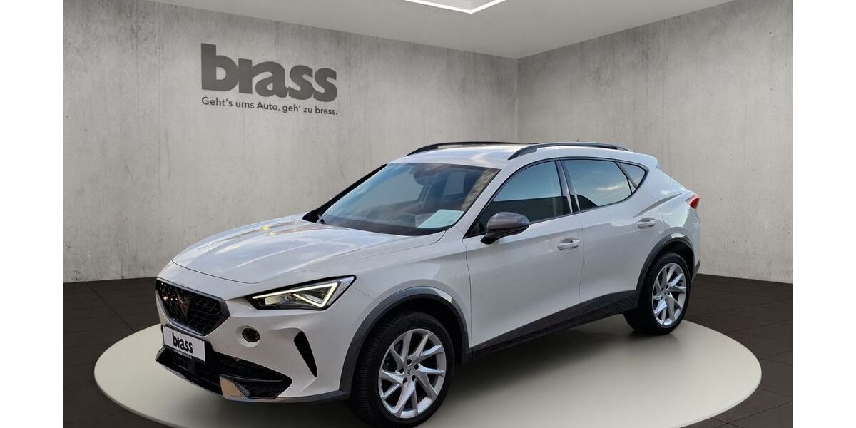 Cupra Formentor 29.750 km 24.180 &euro; Darmstadt 64293