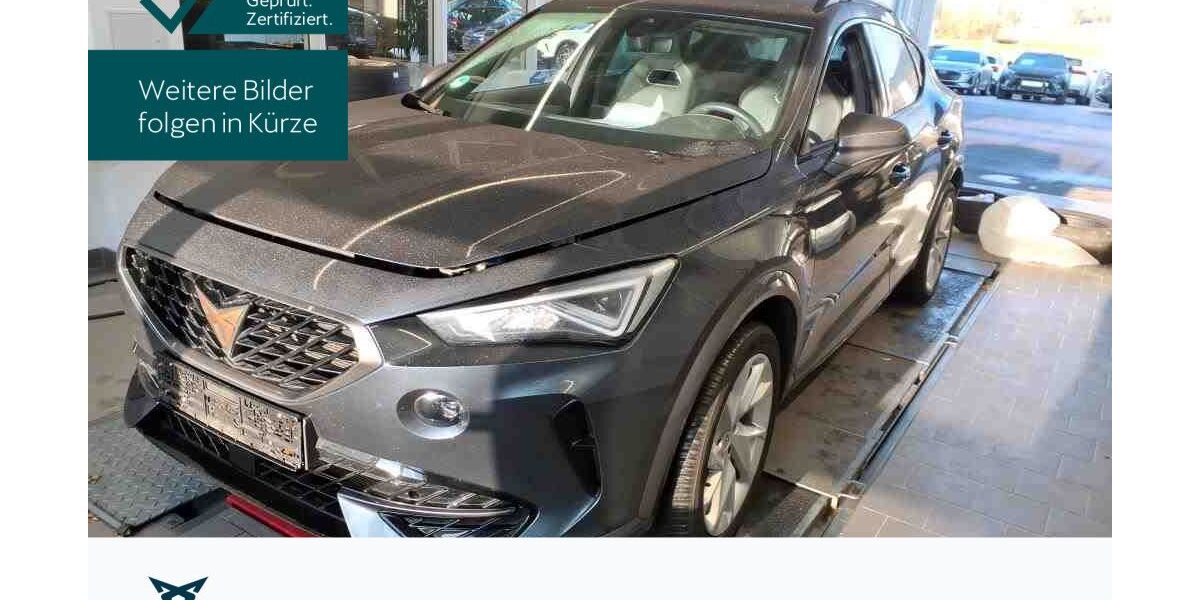 Cupra Formentor 43.951 km 24.330 &euro; Hofheim-Diedenbergen 65719