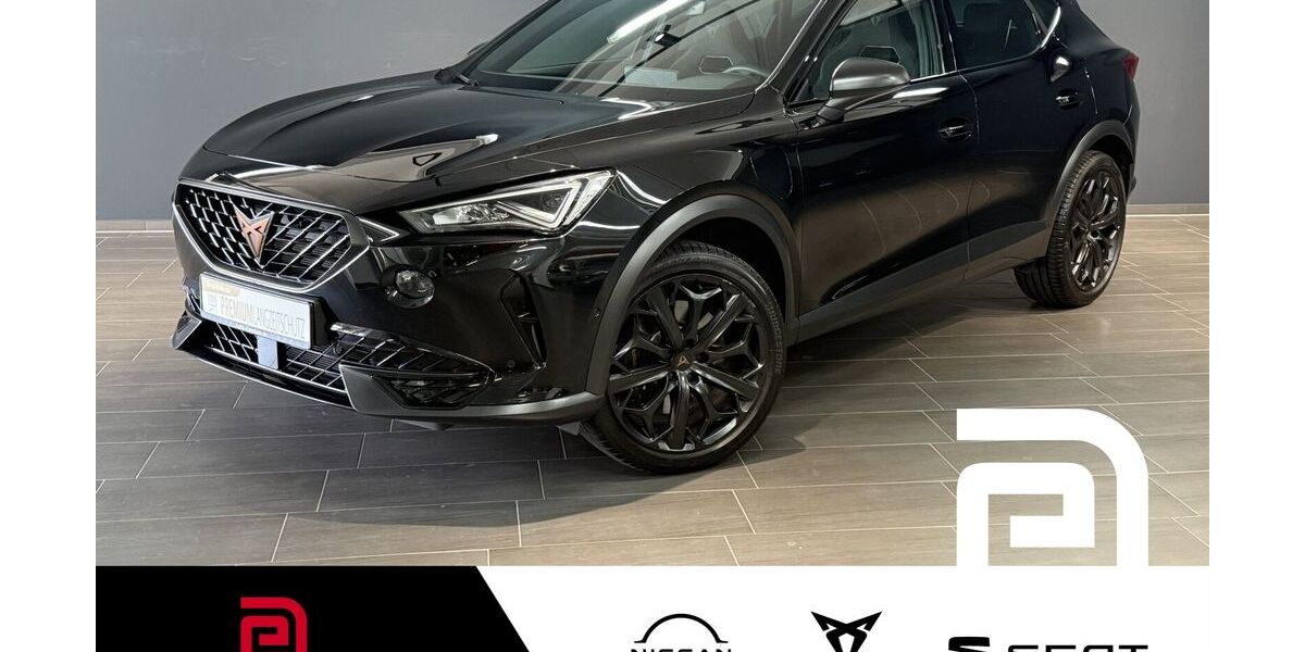 Cupra Formentor 38.073 km 32.164 &euro; Offenbach 63069