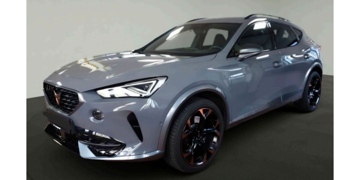 Cupra Formentor 49.000 km 28.500 &euro; Hofheim am Taunus 65719