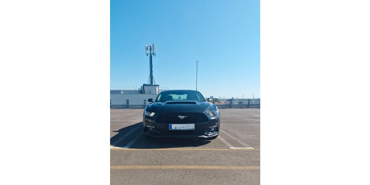 Ford Mustang 77.500 km 21.099 &euro; Frankfurt am Main 65931