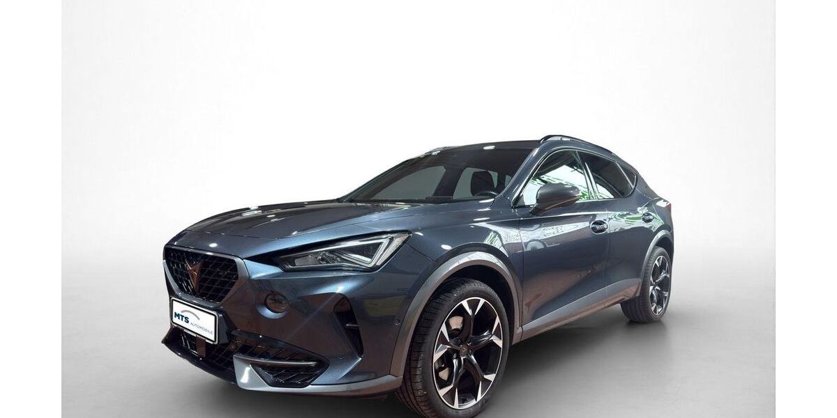 Cupra Formentor 81.875 km 21.650 &euro; Friedberg 61169