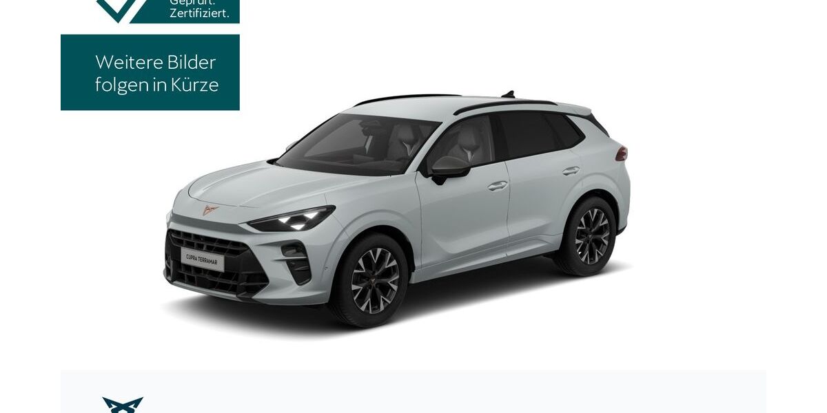 Cupra Terramar 22.944 km 32.890 &euro; Königstein/Ts. 61462