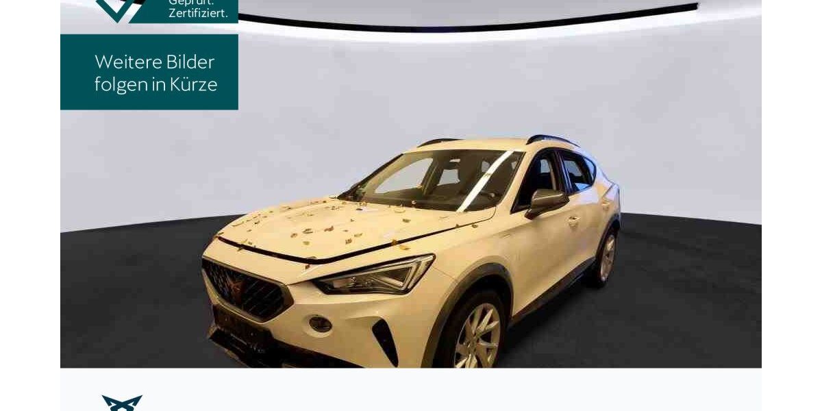 Cupra Formentor 32.435 km 22.780 &euro; Hofheim-Diedenbergen 65719