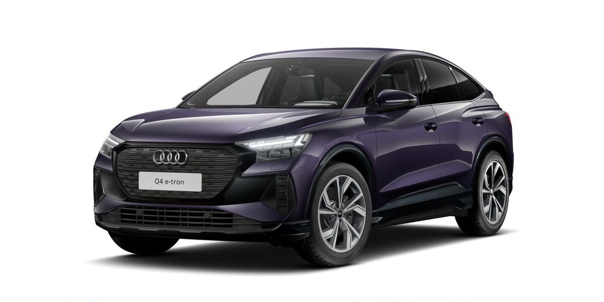 Audi Q4 e-tron 9.061 km 42.980 &euro; Hofheim 65719