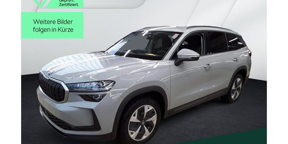 Skoda Kodiaq 29.100 km 43.449 &euro; Mühlheim 63165