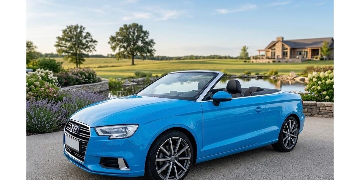 Audi A3 33.500 km 17.500 &euro; Flörsheim am Main 65439