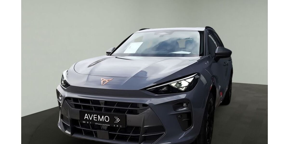 Cupra Terramar 7.500 km 51.300 &euro; Königstein 61462