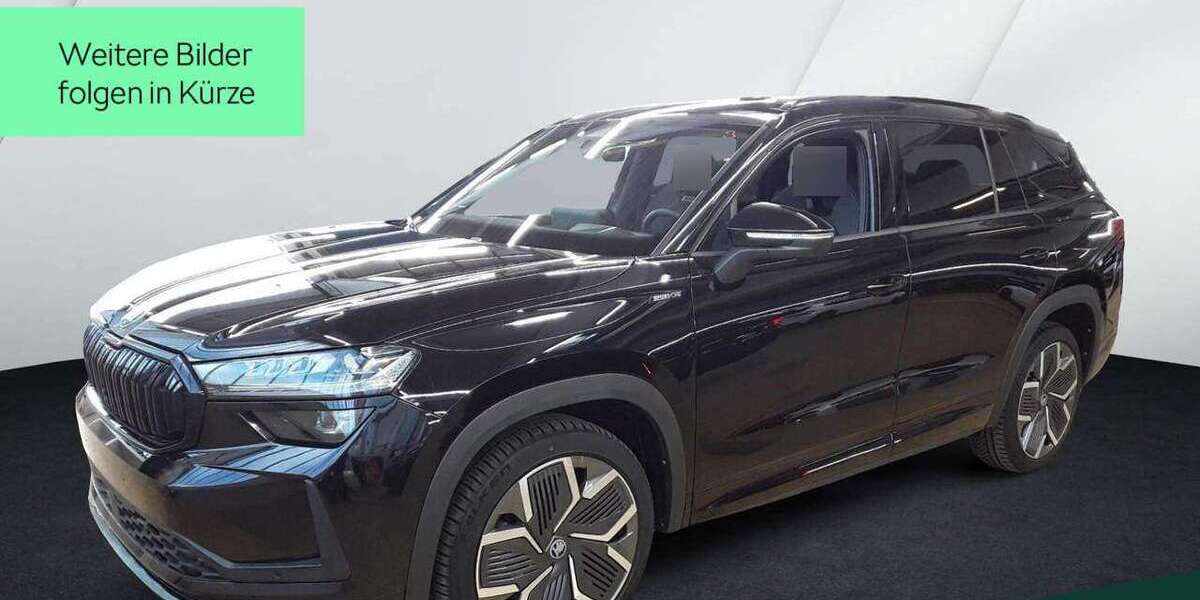 Skoda Kodiaq 25.000 km 47.899 &euro; Mühlheim a. Main 63165