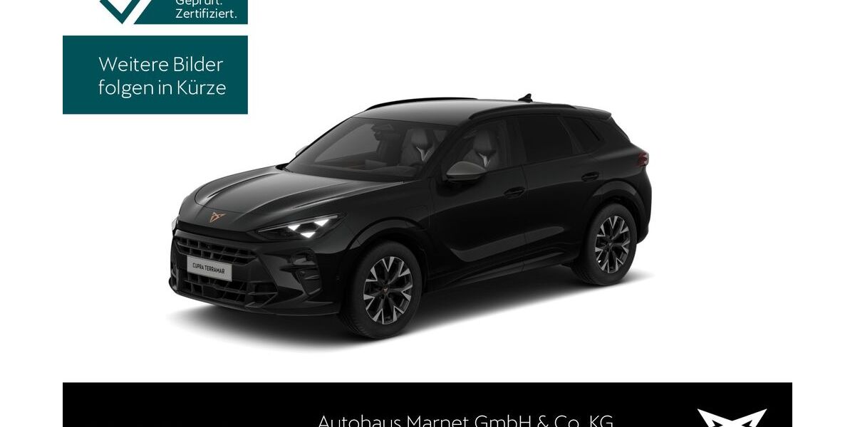 Cupra Terramar 24.133 km 37.890 &euro; Königstein 61462