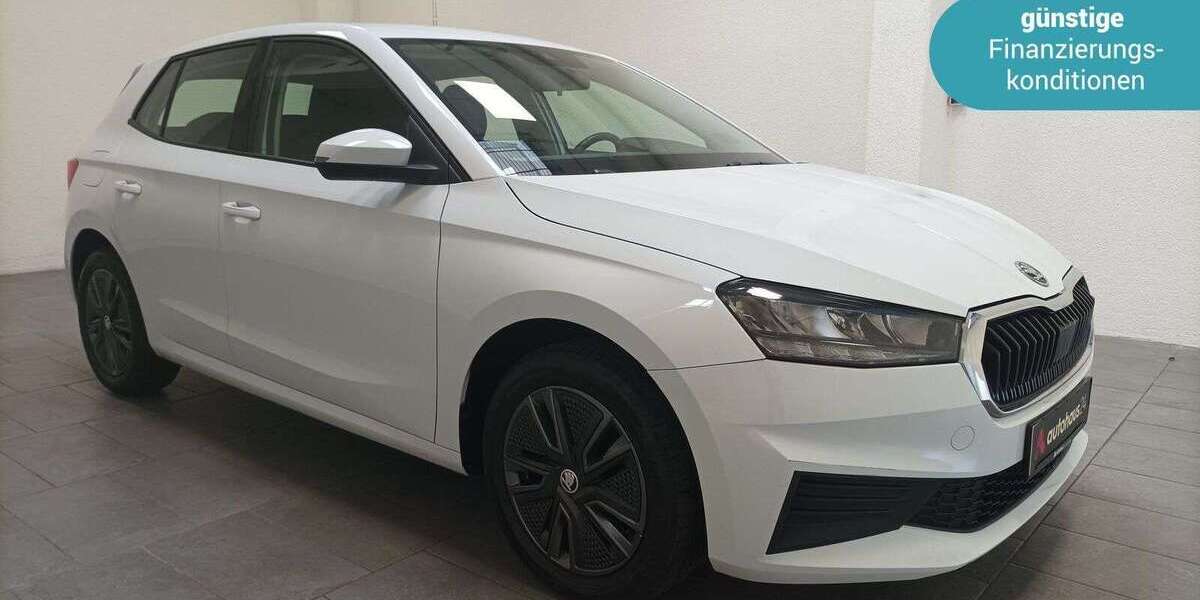 Skoda Fabia 46.237 km 15.870 &euro; Egelsbach 63329