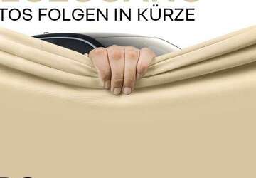 Renault Clio 19.912 km 17.790 &euro; Frankfurt / Main 60314