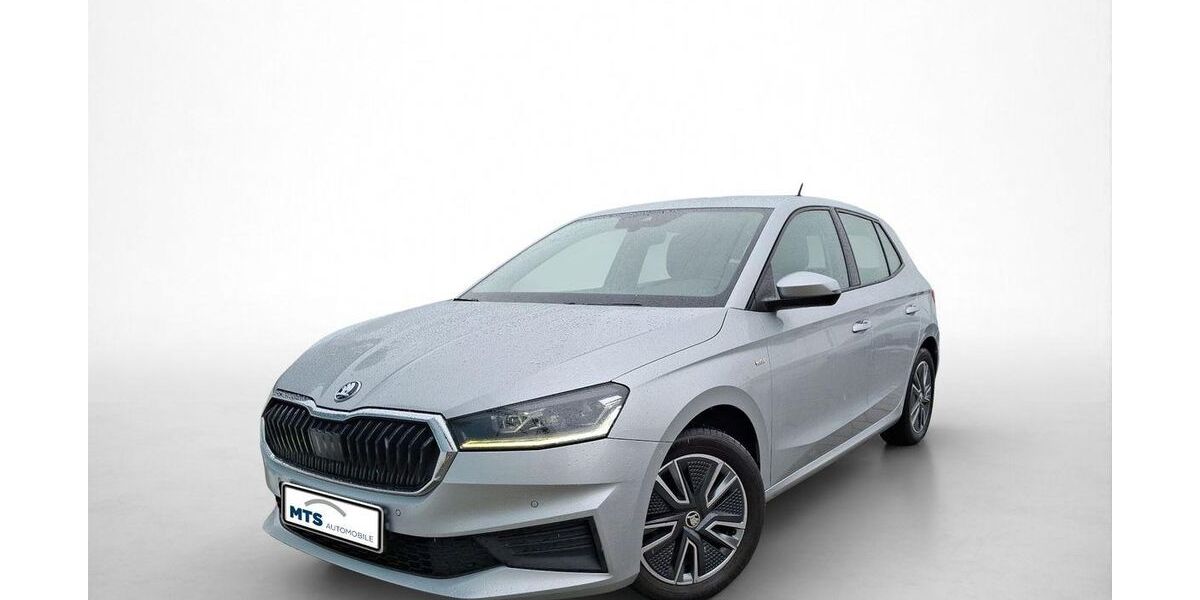 Skoda Fabia 54.176 km 14.150 &euro; Friedberg 61169