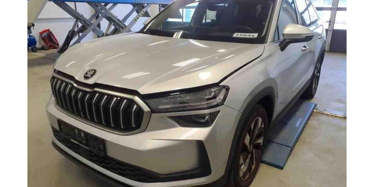 Skoda Kodiaq 26.000 km 49.888 &euro; Darmstadt 64293