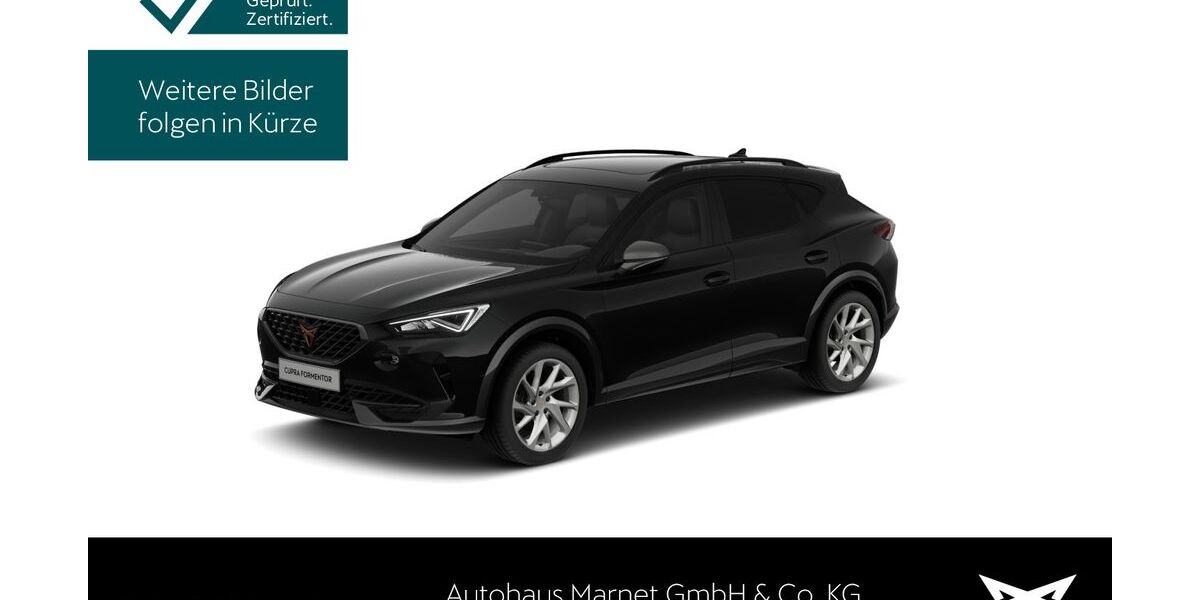 Cupra Formentor 13.305 km 27.490 &euro; Königstein 61462