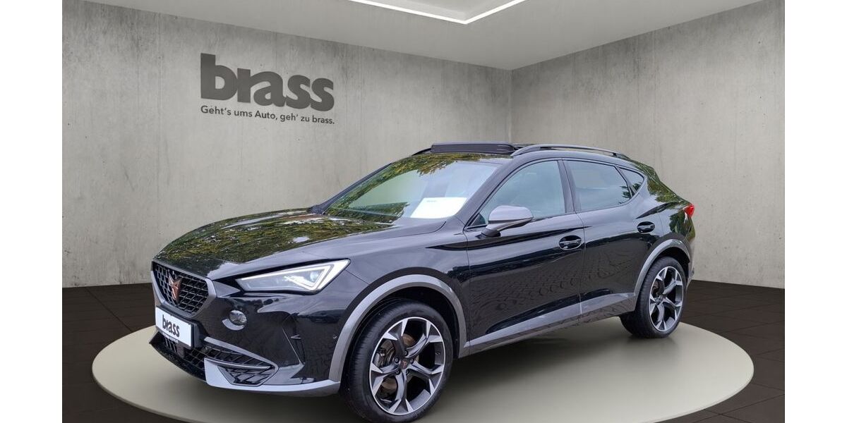 Cupra Formentor 90.860 km 24.470 &euro; Frankfurt 60488