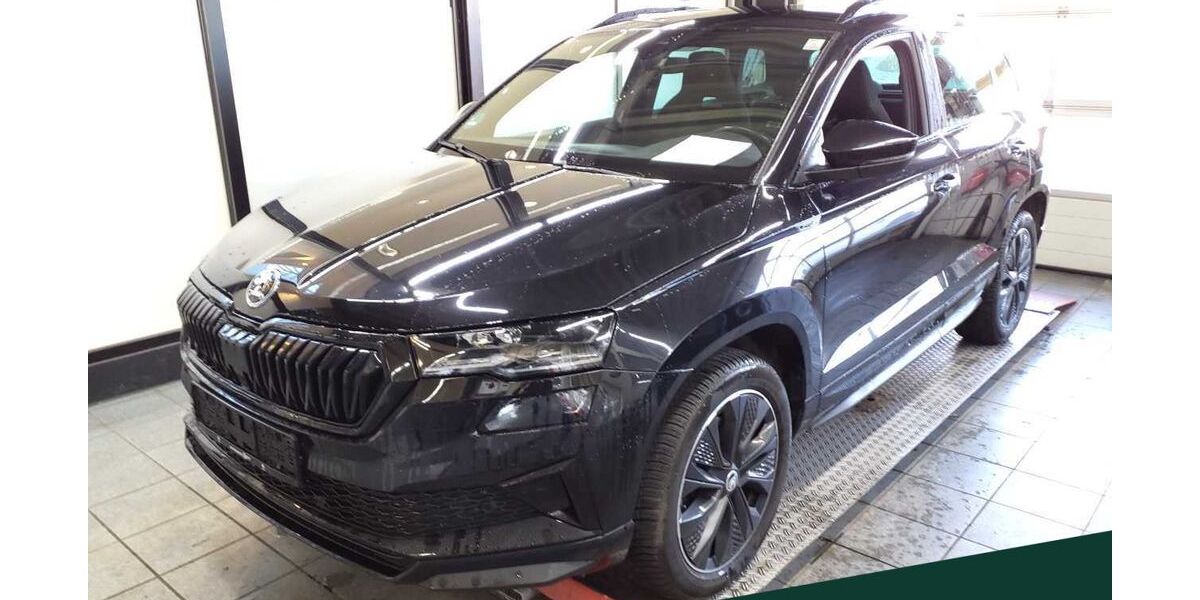 Skoda Karoq 76.800 km 30.888 &euro; Mühlheim 63165