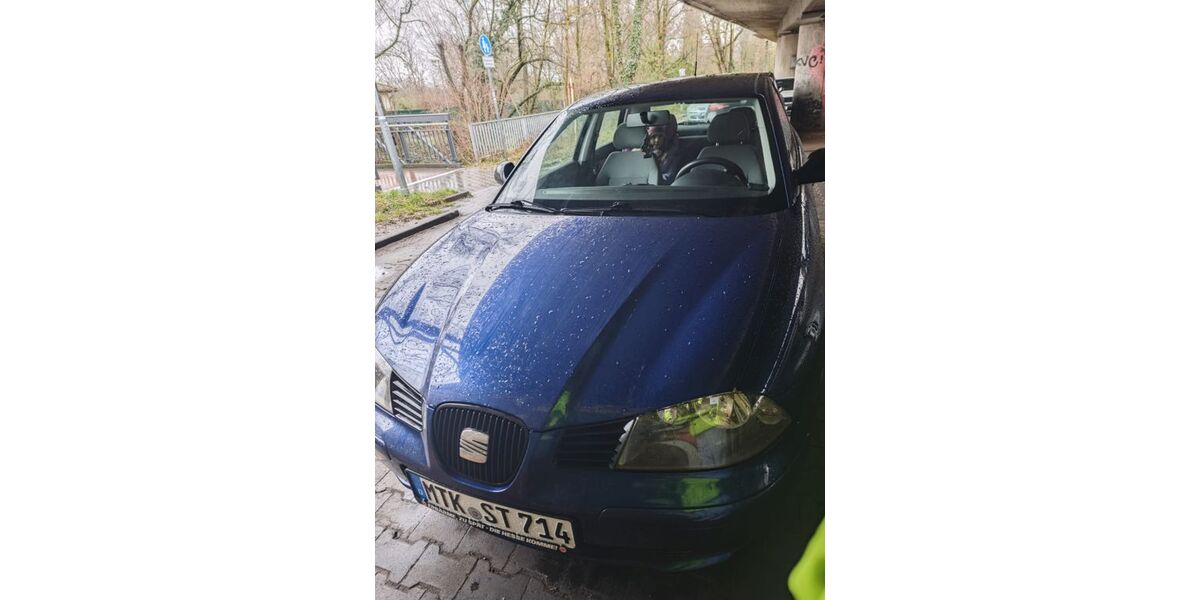 Seat Ibiza 283.600 km 1.000 &euro; Hattersheim 65795