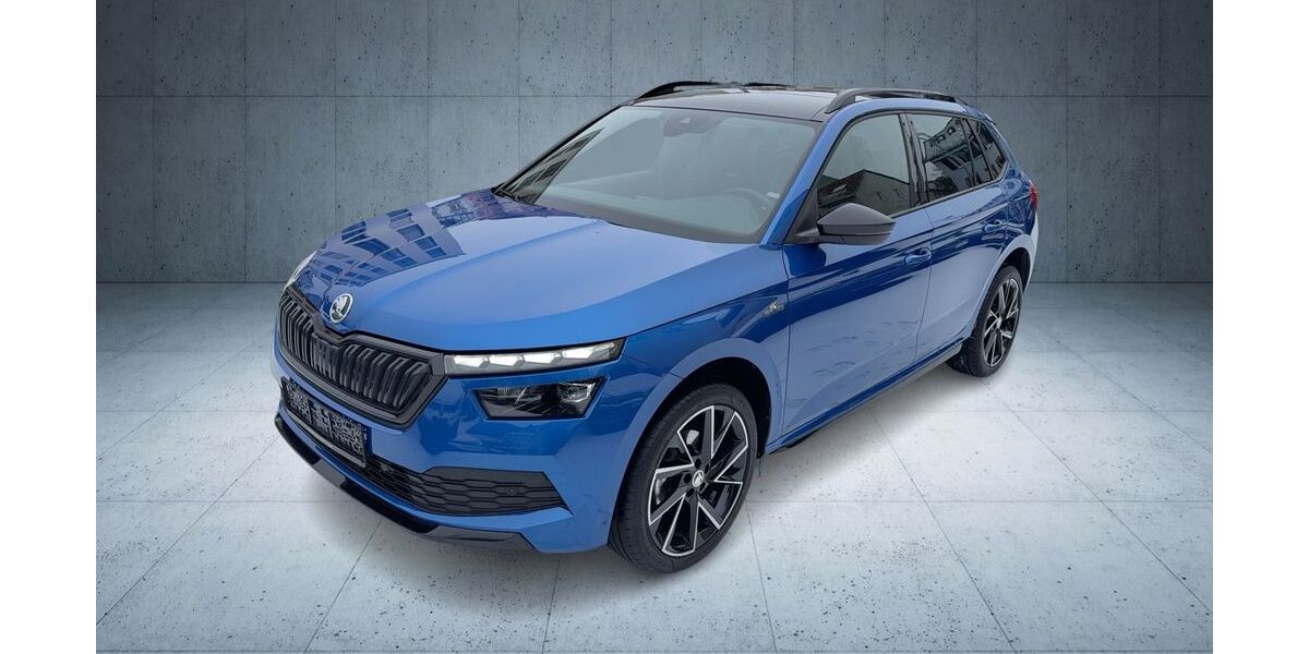 Skoda Kamiq 91.660 km 21.280 &euro; Frankfurt am Main 60528