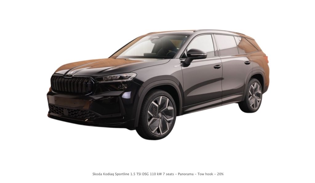 Skoda Kodiaq 50 km 45.446 &euro; Schöneck 61137