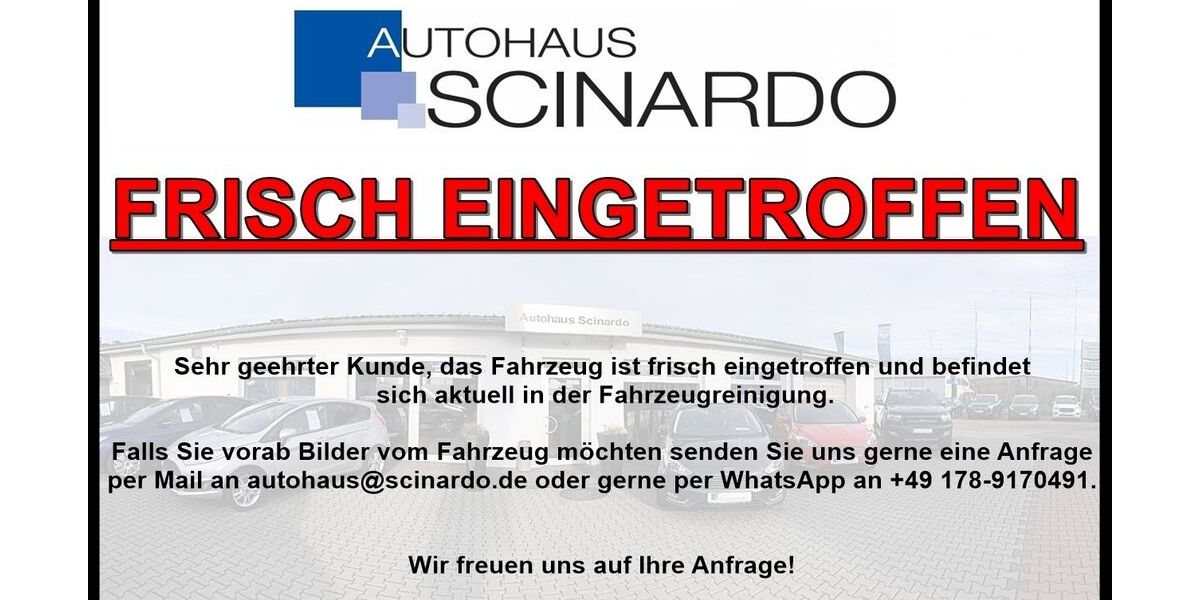 Ford Grand Tourneo 20.000 km 33.680 &euro; Babenhausen 64832