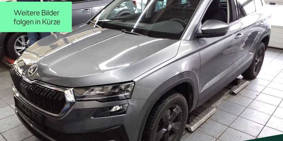 Skoda Karoq 37.600 km 27.888 &euro; Mühlheim a. Main 63165