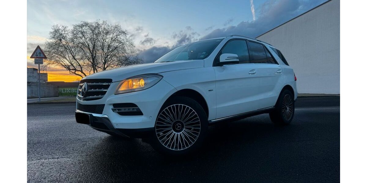 Mercedes-Benz ML 250 239.900 km 12.500 &euro; Frankfurt am Main 60486