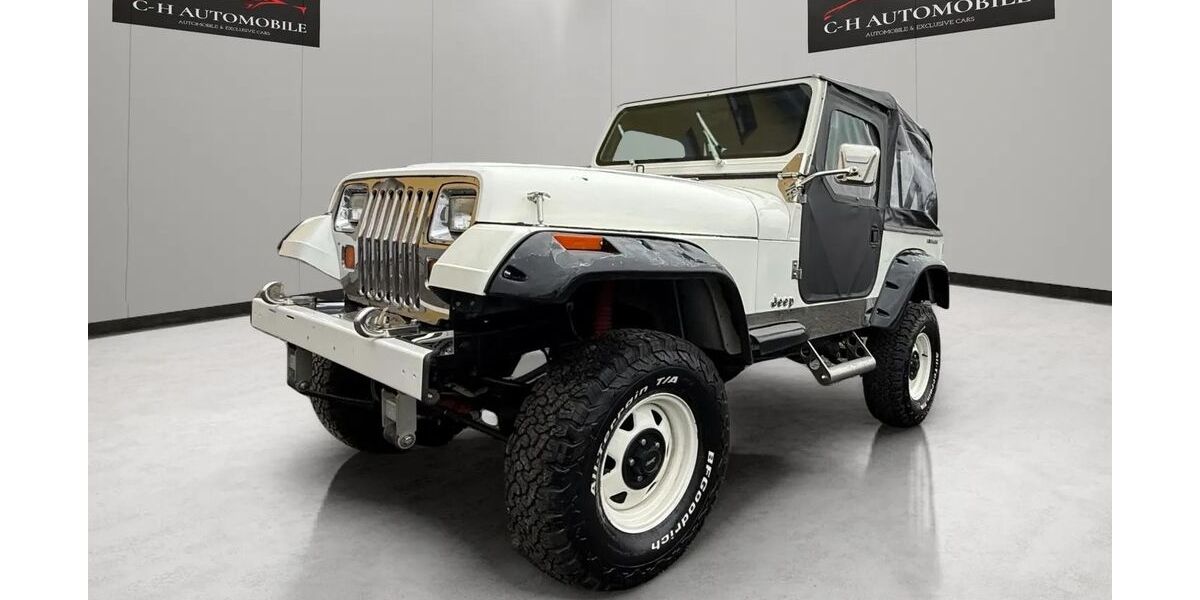 Jeep Wrangler 145.000 km 12.450 &euro; Friedberg 61169