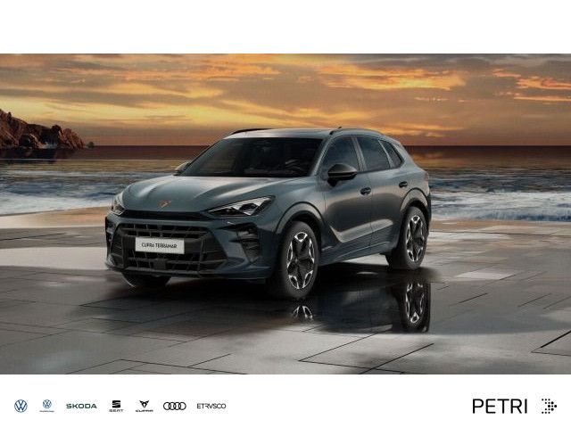 Cupra Terramar 5.000 km 46.500 &euro; Hofheim-Diedenbergen 65719