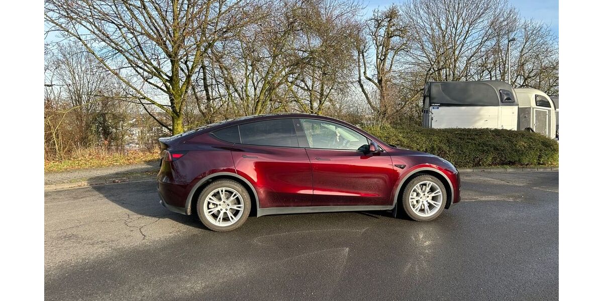 Tesla Model Y 25.000 km 38.300 &euro; Hattersheim am Main 65795