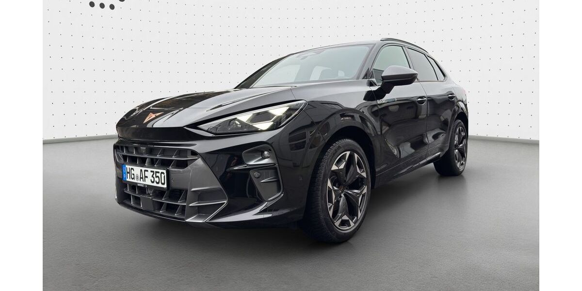 Cupra Terramar 5.000 km 41.500 &euro; Königstein 61462